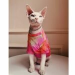 Cotton Tie-dye Breathable Sphynx Cat Clothes - Image 10