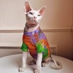 Cotton Tie-dye Breathable Sphynx Cat Clothes - Image 2