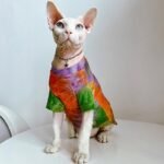 Cotton Tie-dye Breathable Sphynx Cat Clothes