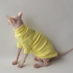 Cotton Solid Color Windproof Sphynx Cat Clothes - Image 8