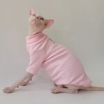 Cotton Solid Color Windproof Sphynx Cat Clothes