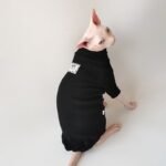 Cotton Solid Color Windproof Sphynx Cat Clothes - Image 5