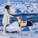 Fleece Dog Jacket | Warm Winter Dog Coat with Back Zipper, Color-Block Padded Pet Vest for Cold Weather - Image 3