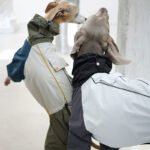 Polyester Raincoat Outdoor Greyhound Clothes - Image 11