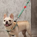 Adjustable Dog Leash | Heavy Duty Nylon Walking Leash with Adjustable Length (86-136cm) for Medium Large Dogs - Image 2