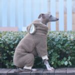 Warm Fleece Onesies Jumpsuit with Bunny Hood Italian Greyhound & Whippet Winter Outfit - Image 2