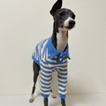Striped Cotton Knit Dog Polo Shirt - Casual Sweater Tee for Italian Greyhounds & Small Whippets - Image 7
