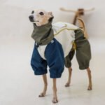 Polyester Raincoat Outdoor Greyhound Clothes