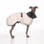 High Neck Dog Coat | Warm Padded Winter Jacket with Fleece Collar, Deep-Chest Fit for Medium Large Dogs