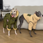 Fleece Pullover design Windproof Greyhound Clothes