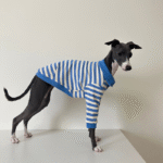 Striped Cotton Knit Dog Polo Shirt - Casual Sweater Tee for Italian Greyhounds & Small Whippets - Image 8