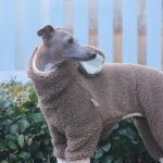 Warm Fleece Onesies Jumpsuit with Bunny Hood Italian Greyhound & Whippet Winter Outfit - Image 3