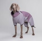Full-Body Dog Snowsuit | Winter Coat with Back Zipper & High Collar, Padded Fleece-Lined Body Warmer - Image 7