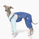 Cotton Pants Outdoor Greyhound Clothes