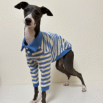 Striped Cotton Knit Dog Polo Shirt - Casual Sweater Tee for Italian Greyhounds & Small Whippets - Image 9