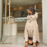 Minimalist Trench Coat - Waterproof Padded Outerwear for Big Dogs - Image 3