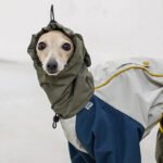 Polyester Raincoat Outdoor Greyhound Clothes - Image 3