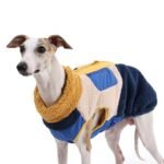 Fleece Dog Jacket | Warm Winter Dog Coat with Back Zipper, Color-Block Padded Pet Vest for Cold Weather