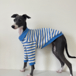 Striped Cotton Knit Dog Polo Shirt - Casual Sweater Tee for Italian Greyhounds & Small Whippets - Image 10