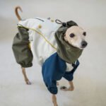 Polyester Raincoat Outdoor Greyhound Clothes - Image 4