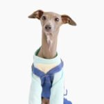 Cotton Pants Outdoor Greyhound Clothes - Image 3