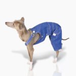 Cotton Pants Outdoor Greyhound Clothes - Image 2