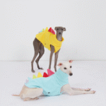 Funny Dinosaur Spike Dog Vest - Warm Fleece Sweater for Italian Greyhounds & Whippets - Image 4