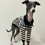 Striped Cotton Knit Dog Polo Shirt - Casual Sweater Tee for Italian Greyhounds & Small Whippets - Image 11