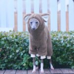 Warm Fleece Onesies Jumpsuit with Bunny Hood Italian Greyhound & Whippet Winter Outfit - Image 5