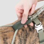 Round Rope Dog Harness | Lightweight Adjustable Y-Harness with Padded Chest & Secure Lock Buckle - Image 8