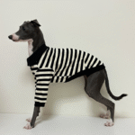 Striped Cotton Knit Dog Polo Shirt - Casual Sweater Tee for Italian Greyhounds & Small Whippets - Image 12