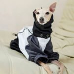 Polyester Raincoat Outdoor Greyhound Clothes - Image 7