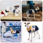 Fleece Dog Jacket | Warm Winter Dog Coat with Back Zipper, Color-Block Padded Pet Vest for Cold Weather - Image 5