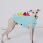Funny Dinosaur Spike Dog Vest - Warm Fleece Sweater for Italian Greyhounds & Whippets