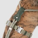Round Rope Dog Harness | Lightweight Adjustable Y-Harness with Padded Chest & Secure Lock Buckle - Image 9