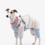 Dog Snowsuit | Full Body Four-Legged Jumpsuit, Warm Winter Pet Coat for Cold Weather