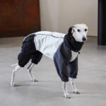 Polyester Raincoat Outdoor Greyhound Clothes - Image 6