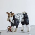 Polyester Raincoat Outdoor Greyhound Clothes - Image 9