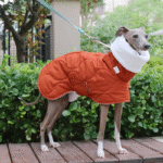 Cotton High Neck Windproof Greyhound Clothes
