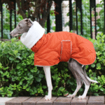 Cotton High Neck Windproof Greyhound Clothes - Image 3