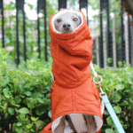 Cotton High Neck Windproof Greyhound Clothes - Image 5