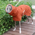 Cotton High Neck Windproof Greyhound Clothes - Image 4