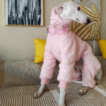 Cotton Pullover design Windproof Greyhound Clothes - Image 11