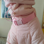 Cotton Pullover design Windproof Greyhound Clothes - Image 12