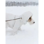 Ultra-Warm Puffer Jacket - Heavyweight Winter Coat for Italian Greyhounds & Large Deep-Chested Dogs - Image 3