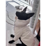 Ultra-Warm Puffer Jacket - Heavyweight Winter Coat for Italian Greyhounds & Large Deep-Chested Dogs - Image 5