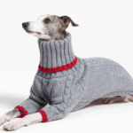 Cotton High Neck Knit Greyhound Clothes - Image 2