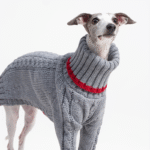 Cotton High Neck Knit Greyhound Clothes - Image 3