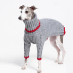 Cotton High Neck Knit Greyhound Clothes - Image 4