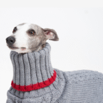 Cotton High Neck Knit Greyhound Clothes - Image 5